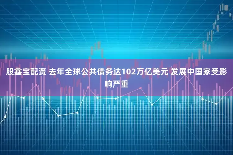 股鑫宝配资 去年全球公共债务达102万亿美元 发展中国家受影响严重
