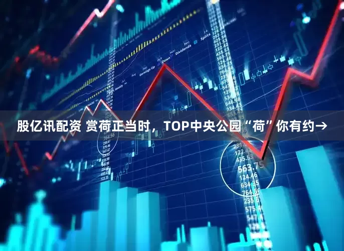 股亿讯配资 赏荷正当时，TOP中央公园“荷”你有约→
